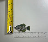 Crappie Freshwater Fish Vintage